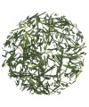 Loose leaf Japanese green tea Gyokuro Kusanagi Natural