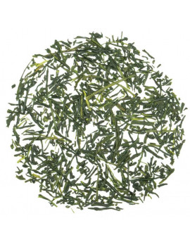 Loose leaf tea Gyokuro Mikoto Green Tea