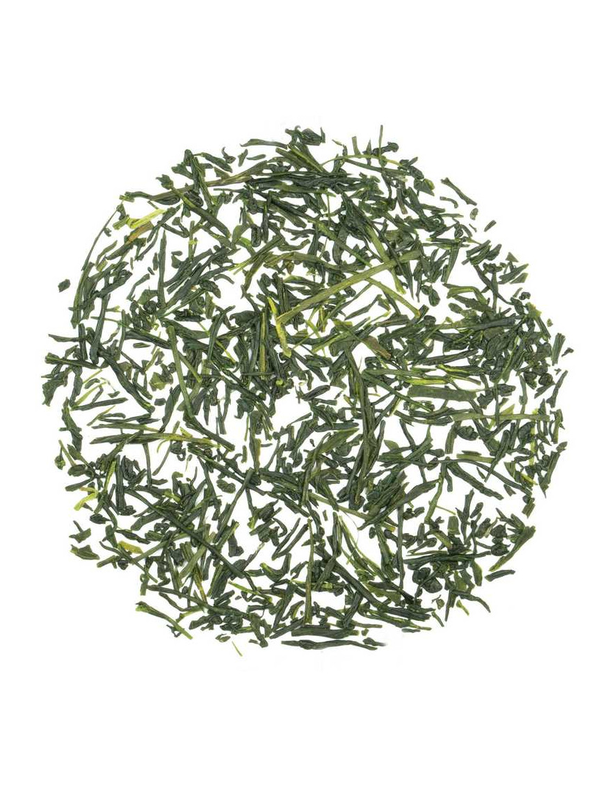 Loose leaf tea Gyokuro Mikoto Green Tea