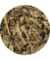 Loose Leaf Tea Bancha Natural