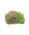 Brahmi Powder Natural Ayurveda