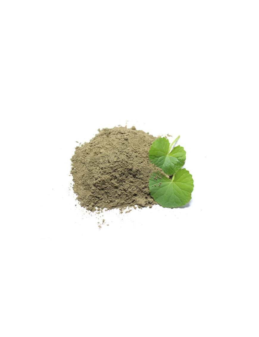 Brahmi Powder Natural Ayurveda