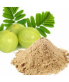 Natural Amla Powder Ayurveda Ireland