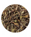 white natural loose leaf tea China Pai Mu Tan