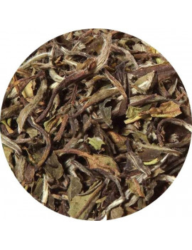 white natural loose leaf tea China Pai Mu Tan