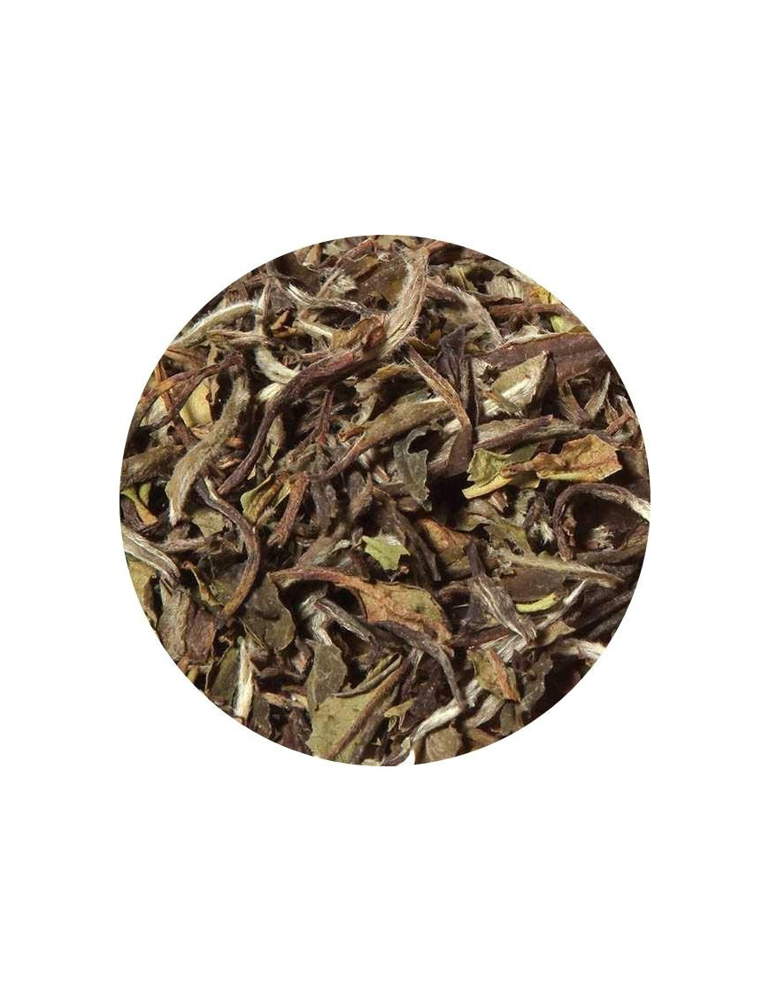 white natural loose leaf tea China Pai Mu Tan