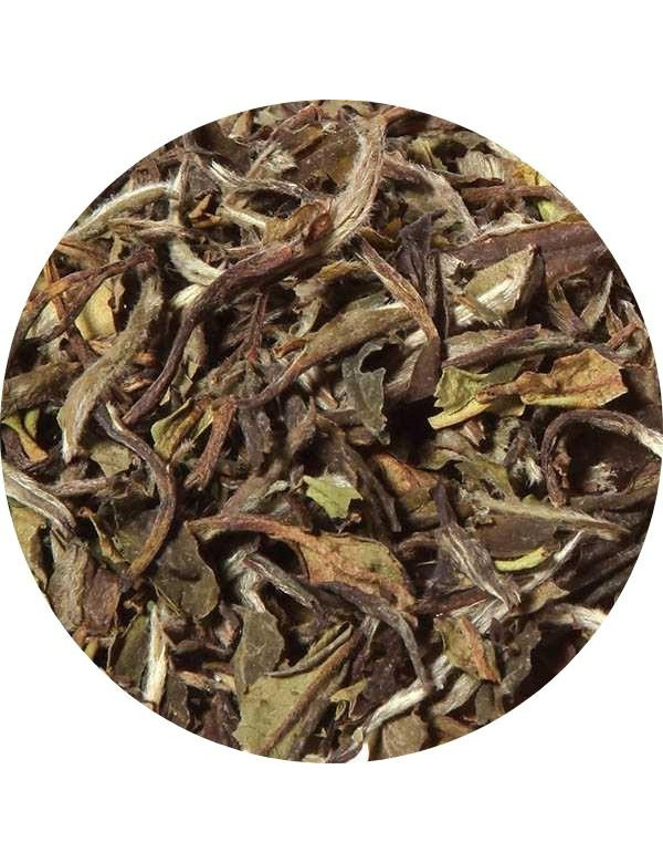 white natural loose leaf tea China Pai Mu Tan