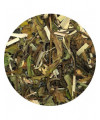 Loose leaf white tea, green tea, lemongrass, ginger, peppermint