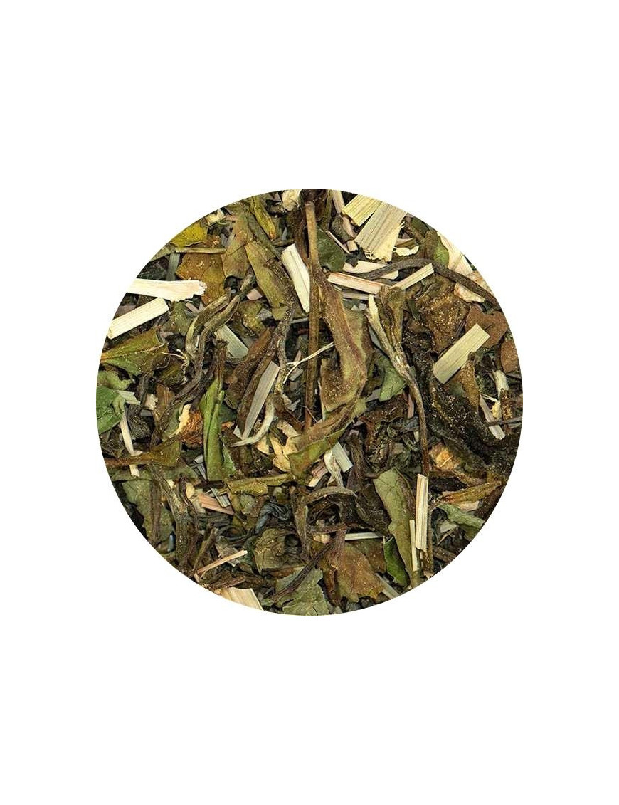 Loose leaf white tea, green tea, lemongrass, ginger, peppermint