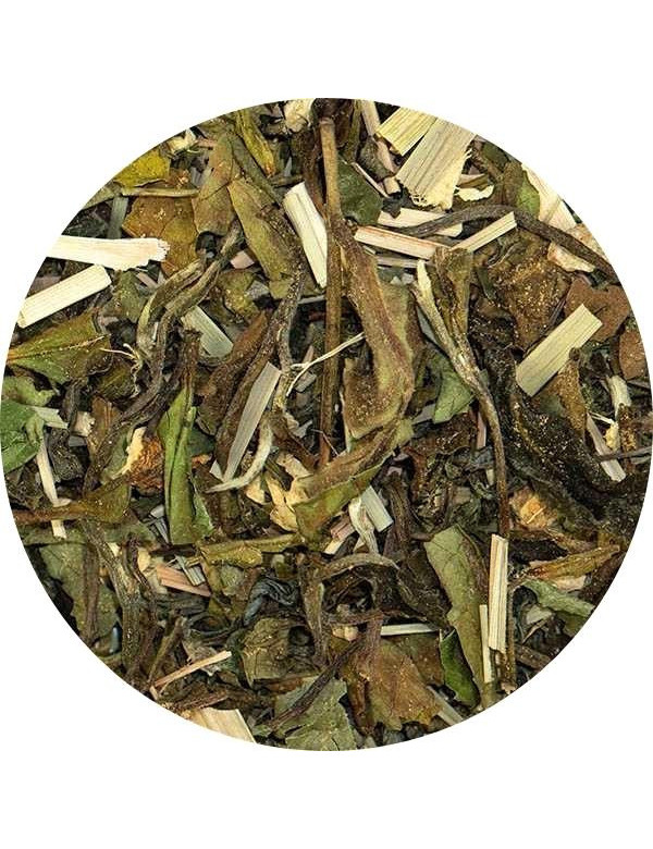 Loose leaf white tea, green tea, lemongrass, ginger, peppermint